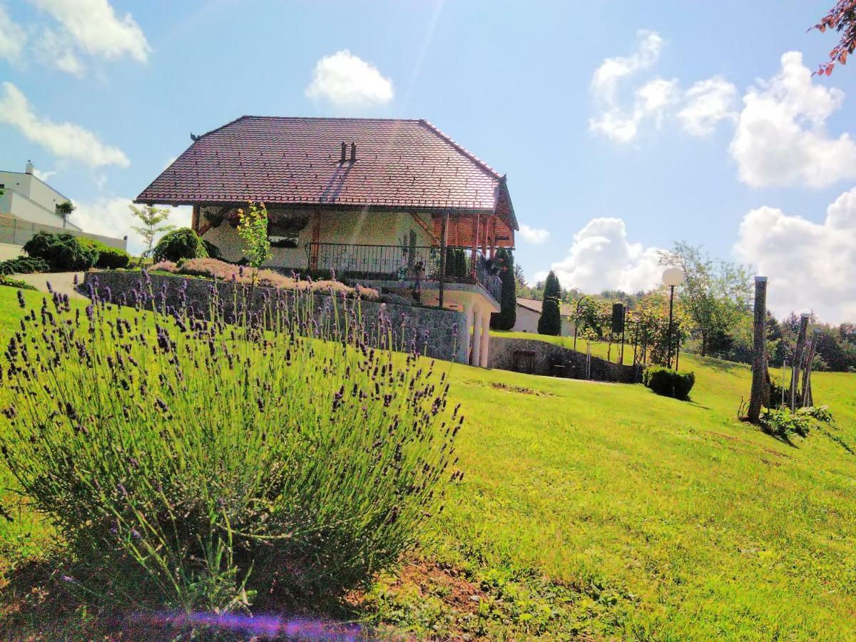 Holiday Home Dobrotin Vojnik Luaran gambar